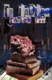 Capa do artigo To Indigo