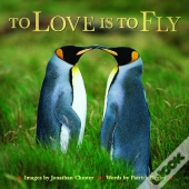 To Love Is To Fly