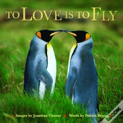 Capa do artigo To Love Is To Fly