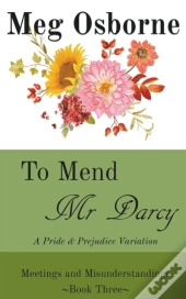 To Mend Mr Darcy