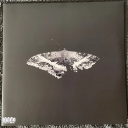 Capa do artigo To Pimp A Butterfly - Vinil