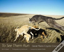 Capa do artigo To See Them Run