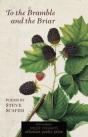 To The Bramble And The Briar - Preview
