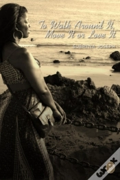 Capa do artigo To Walk Around It, Move It Or Love It