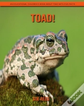 Capa do artigo Toad! An Educational Children