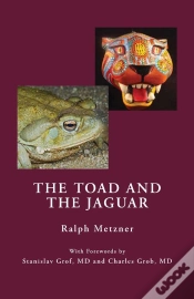 Capa do artigo Toad And The Jaguar