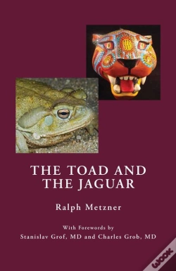 Capa do artigo Toad And The Jaguar