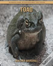 Toad