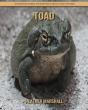 Toad - Preview