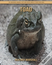 Capa do artigo Toad