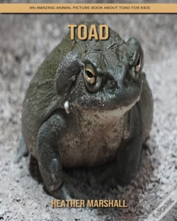Capa do artigo Toad