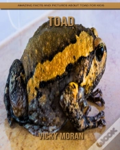 Capa do artigo Toad