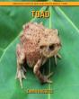 Toad - Preview
