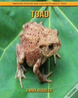 Capa do artigo Toad
