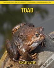Toad