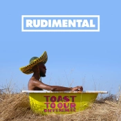 Capa do artigo Toast To Our Differences - CD