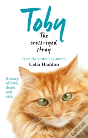 Capa do artigo Toby The Cross-Eyed Stray