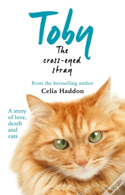 Capa do artigo Toby The Cross-Eyed Stray