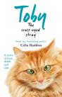 Toby The Cross-Eyed Stray - Preview