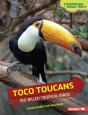 Toco Toucans - Preview