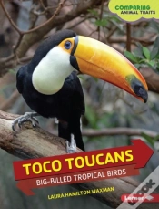 Capa do artigo Toco Toucans