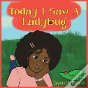 Today I Saw A Lady Bug