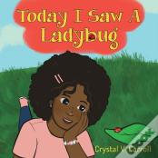Today I Saw A Ladybug