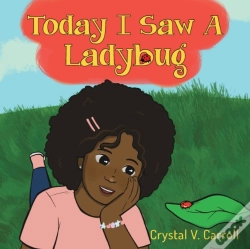 Capa do artigo Today I Saw A Ladybug