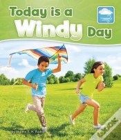 Capa do artigo Today Is A Windy Day