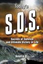 Today'S S.O.S. - Preview