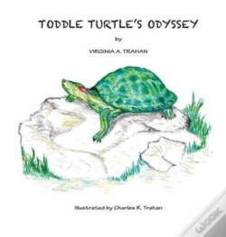 Capa do artigo Toddle Turtle'S Odyssey