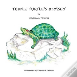 Capa do artigo Toddle Turtle'S Odyssey