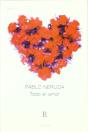 Todo El Amor   - Preview