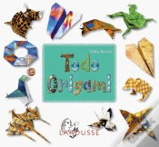 Capa do artigo Todo Origami