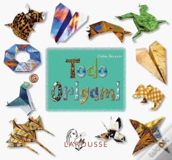 Capa do artigo Todo Origami
