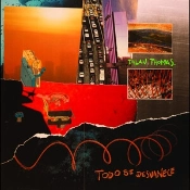 Capa do artigo Todo Se Desvanece - Vinil