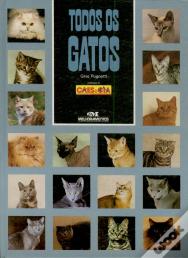 Todos os Gatos