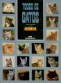 Todos os Gatos - Preview