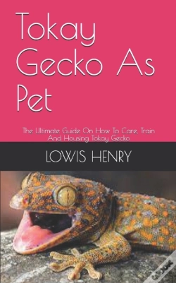 Capa do artigo Tokay Gecko As Pet