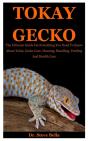 Tokay Gecko - Preview