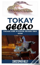 Tokay Gecko