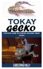 Tokay Gecko - Preview