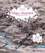 Tokyo Ohanami ; Balade Sous Les Cerisiers - Preview