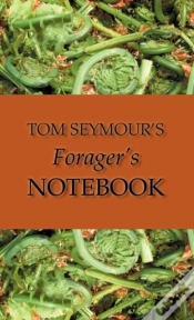 Capa do artigo Tom Seymour