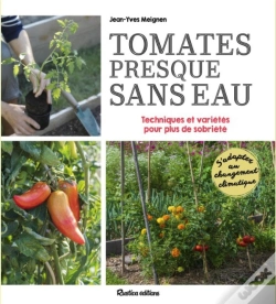 Capa do artigo Tomates Presque Sans Eau : Conseils, Astuces Et Variétés Pour Plus De Sobriété