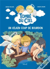 Capa do artigo Tombé Du Ciel Tome 5 : Un Vilain Coup De Bourdon