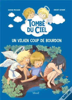 Capa do artigo Tombé Du Ciel Tome 5 : Un Vilain Coup De Bourdon