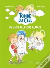 Tombé Du Ciel ; Un Ange Plus Que Parfait