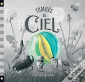 Tombée Du Ciel