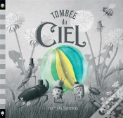 Capa do artigo Tombée Du Ciel